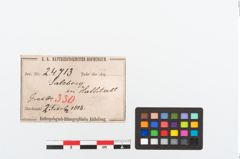 Etikett zu Bronzebrillenfibel (NHMW-PRAE-024713)